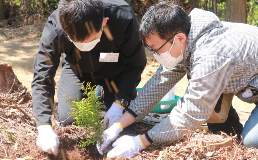「ひぐちグループ 植樹祭」を実施致しました